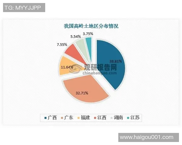 深圳篮球队整体压制的优势与不足分析探讨