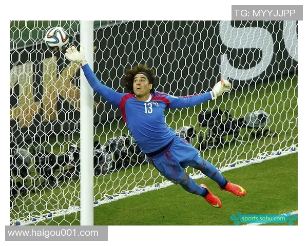 王品月专访足球明星揭秘赛场背后的故事与人生哲学