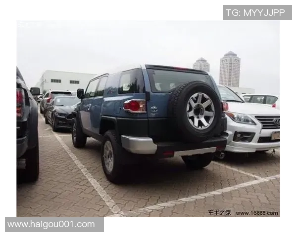 西安网球队在洲际杯积分榜上以79分稳居第一名展现强劲实力