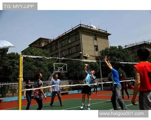 专访杨敏:探寻排球背后的成功秘诀与奋斗历程 专访杨敏:探寻排球背后的成功秘诀与奋斗历程