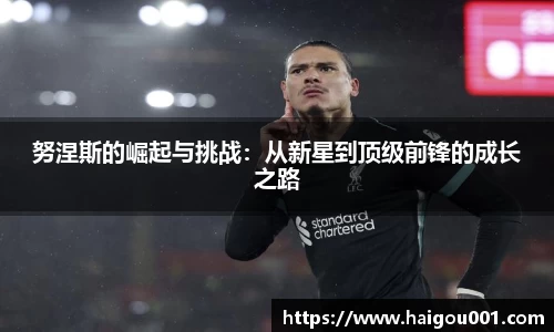 努涅斯的崛起与挑战：从新星到顶级前锋的成长之路